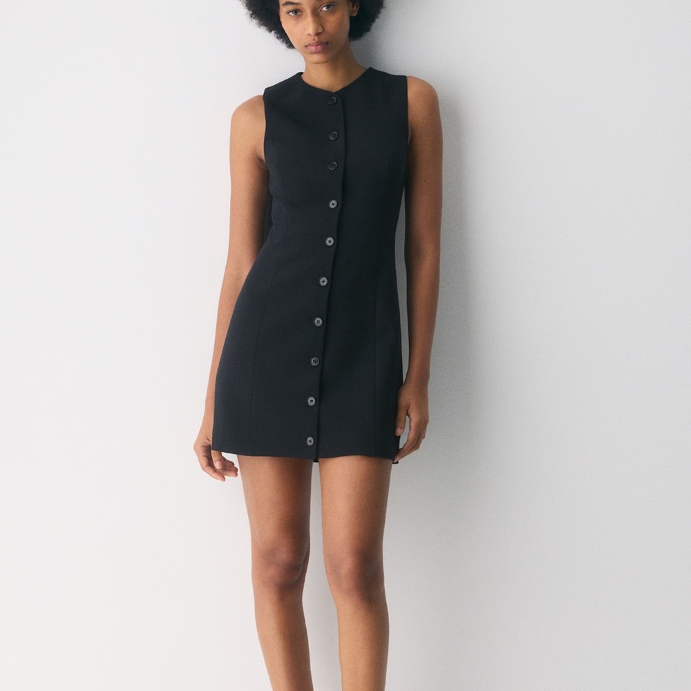 Aritzia Regal Dress